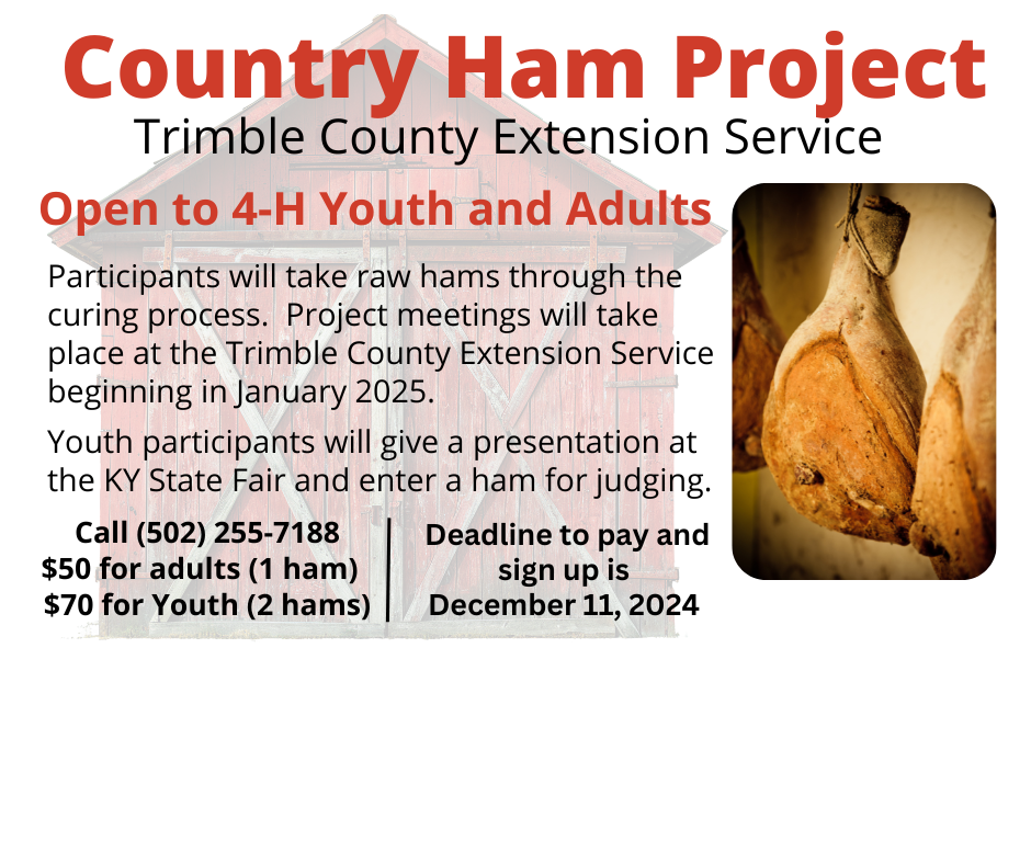 Ham Curing project information